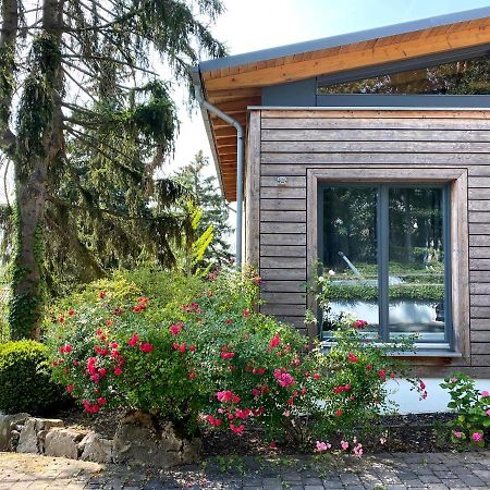 Balthasar Ress Guesthouse Am Rebhang Im Rheingau Oestrich-Winkel Exteriér fotografie