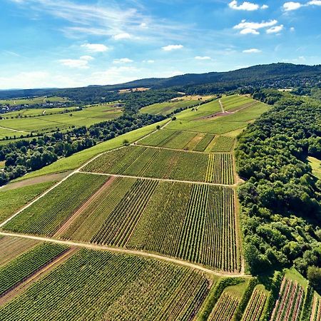 Balthasar Ress Guesthouse Am Rebhang Im Rheingau Oestrich-Winkel Exteriér fotografie