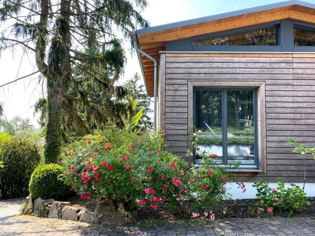 Balthasar Ress Guesthouse Am Rebhang Im Rheingau Oestrich-Winkel Exteriér fotografie