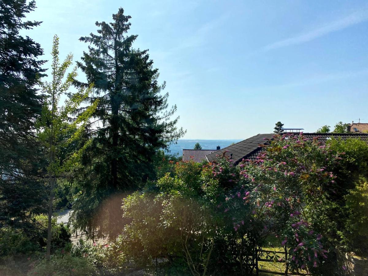 Balthasar Ress Guesthouse Am Rebhang Im Rheingau Oestrich-Winkel Exteriér fotografie