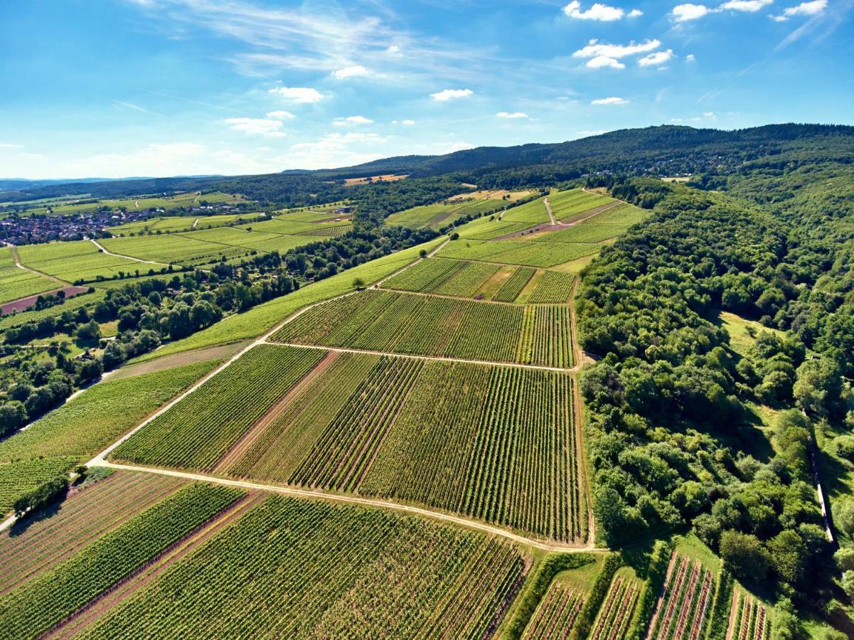 Balthasar Ress Guesthouse Am Rebhang Im Rheingau Oestrich-Winkel Exteriér fotografie